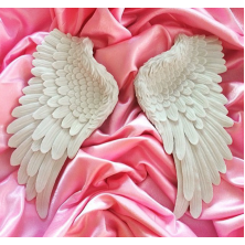 Angel WingsPolyester Obje Angel WingsPolyester Obje