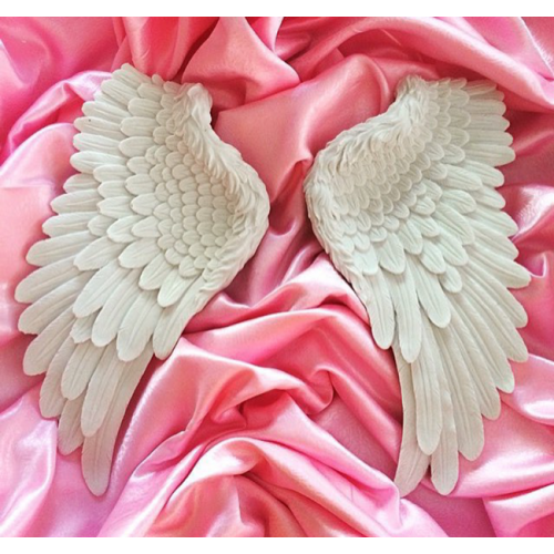 Angel WingsPolyester Obje Yorumları